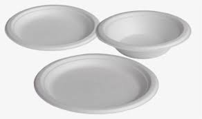Paper Plates &Disposal glasses